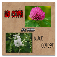 Red-Clover-and-Black-Cohosh-thumb